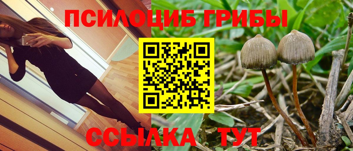 Псилоцибиновые грибы Psilocybine cubensis  Вход с VPN  Архангельск 