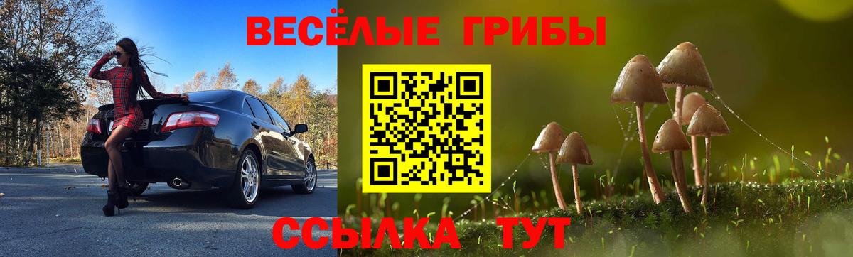 Псилоцибиновые грибы Magic Shrooms Архангельск